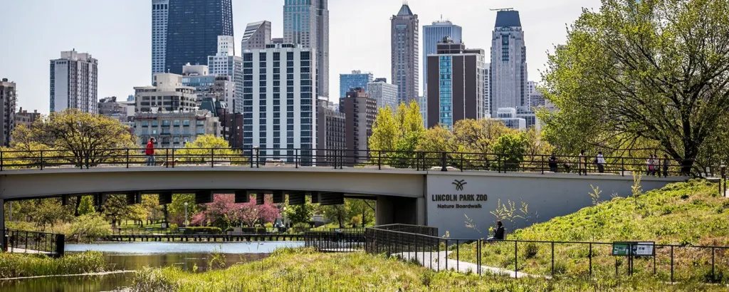 Lincoln Park Zoo Chicago Best Romantic Neighborhoods & Walks