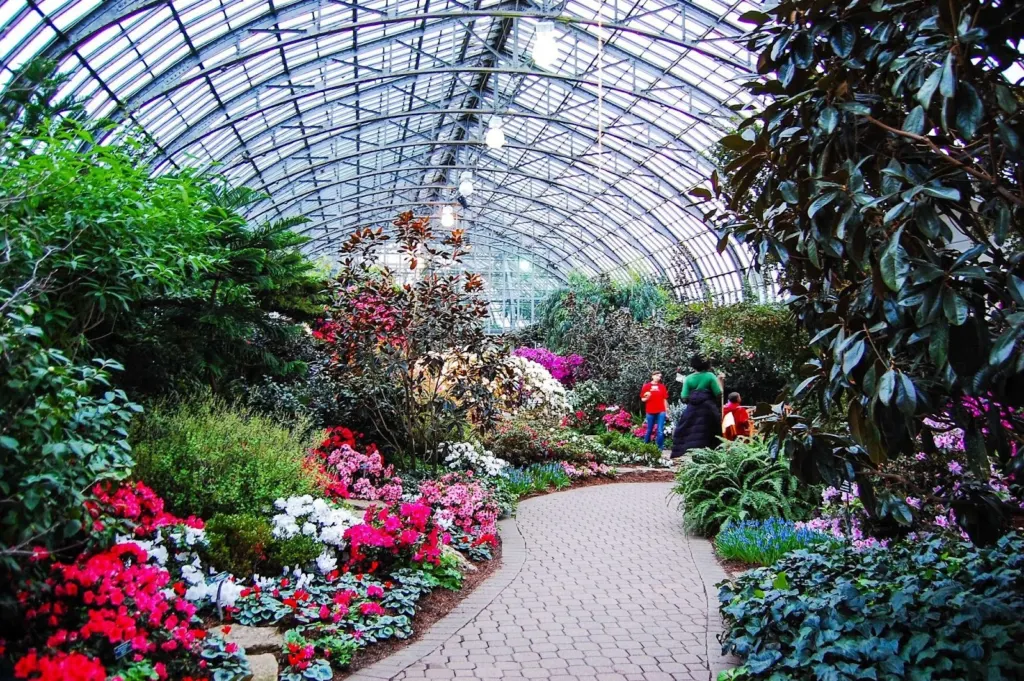 Garfield Park Conservatory Chicago Picnics in the Park