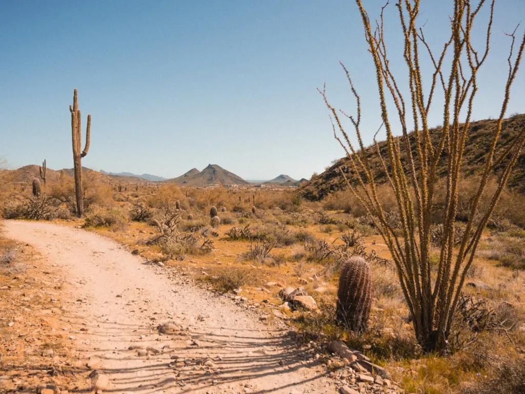 McDowell Sonoran Preserve Trails