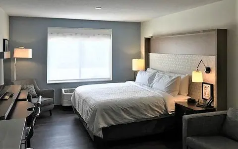 Holiday Inn Tampa North, an IHG hotel