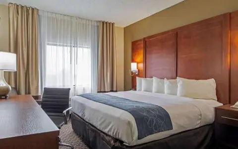 Comfort Inn & Suites Las Cruces Mesilla