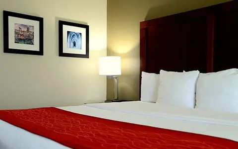 Comfort Inn University Durham-Chapel Hill