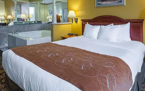 Comfort Suites Near Texas Medical Center - NRG Stadium