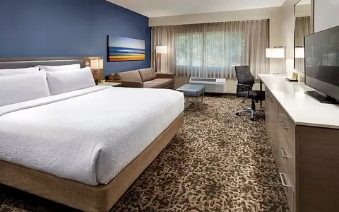 Hilton Garden Inn San Diego Mission Valley Stadium
