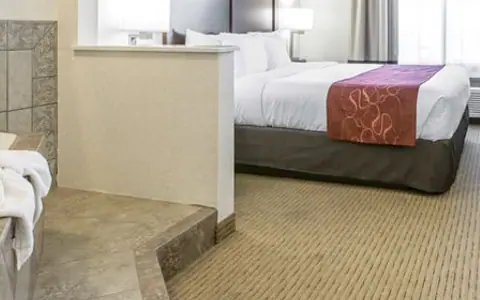 Comfort Suites Downtown Sacramento