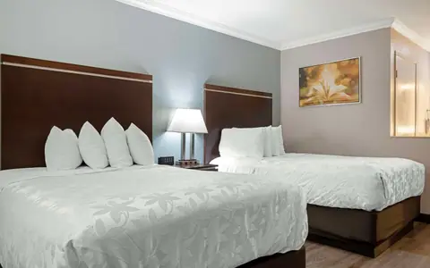 Best Western Courtesy Inn Hotel - Anaheim Resort At The Park